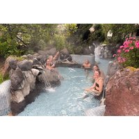 Private Papallacta Hot Springs and Birdwatching Reserve Day Tour