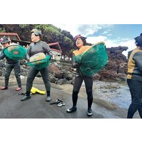 Jeju Island Private Taxi Free schedule Charter 5 to 9 hours