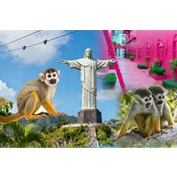 2x1: City Tour & Monkey Encounter tour combo Puerto plata