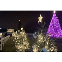 Washington, DC: National Christmas Tree & Holiday Lights Bus Tour