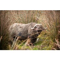 2 Day Tarangire and Ngorongoro Safari Adventure