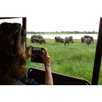 6 Day Kruger Park Safari and Community Service