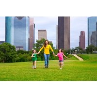 Houston Downtown Highlights Private Guided Walking Tour
