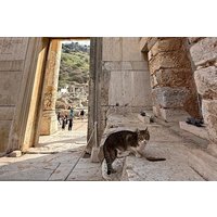 Ephesus and Virgin Mary House Day Trip from Istanbul