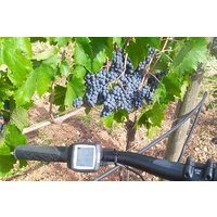 Discover Valle d 'Itria and its wines by ebike