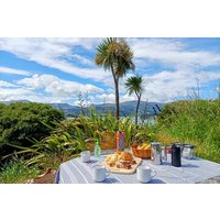 1/2-day Christchurch Scenic Highlights (Shore Excursion)