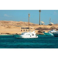 Red Sea Paradise: Island Escape, Snorkeling & Beach Time