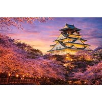 Osaka and Nara Customised World Heritage Private One Day Tour