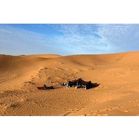 Overnight Wild Desert Bivouac in Merzouga with Camel Trek