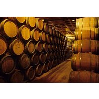 From Valencia Private Requena Town Tour with Wine Cellar Tasting