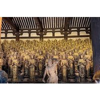 Private Kyoto Sightseeing Tour with English Guide and vehicle