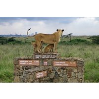 National Park, Giraffe Center and Museum of Illusion in Nairobi