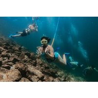 Exclusive SNUBA® Underwater Guided Adventure in Destin