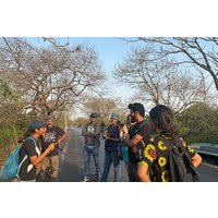 Gorai Mangrove Walking tour in Mumbai