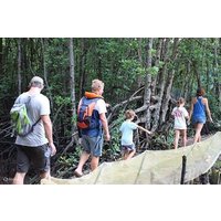 From Ho Chi Minh: Private Vam Sat Mangrove Safari