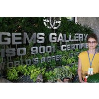 Viator Gems Gallery Phuket mit Hin und Rückfahrt Hotel Transfers