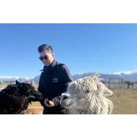 Twizel Petting Zoo