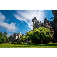 Private Tour of Stone Forest Geological Park in Kunming