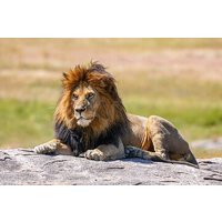 From Tanzania: 6-Day All Inclusive Group safari and Camping Tour