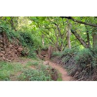 Marrakech: Atlas mountains, Imlil valleys, waterfalls and lunch