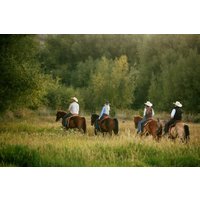 1 Hour Guided Horseback Riding Adventure