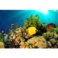 3-day trip on Bunaken Island, Tangkoko and Tomohon Manado