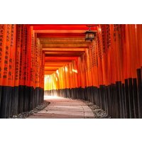 T5 Uji & Fushimi: Shrines, Tea & Sake Bus Tour