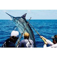 Punta Cana Fishing pro professionnel