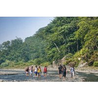 Rishikesh: Rajaji National Park Hike with Vindhyawasini Temple