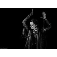 Flamenco Show with Ham and Wine in Madrid for 2 People