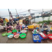 Hoi An Sunrise - Fish Market & Hidden Local Villages