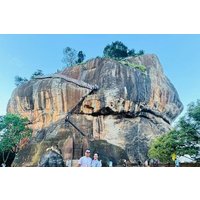 Colombo to Sigiriya and Minneriya Safari Day Tour