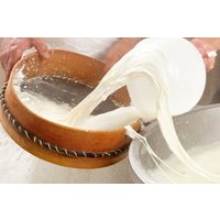 Baltimore Mozzarella Cheese Making Class with Local Chef