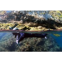 Double Snorkeling Exit in Faial, Azores