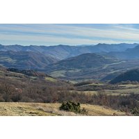 Mindful Walk in a Hidden Tuscan Forest, Shamanic Sound and Tea