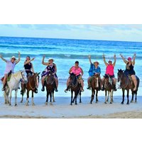 Horseback Riding Puerto Plata: Special for Cruise Ships