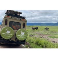 4 Day Safari in Tarangire to Serengeti and Ngorongoro Crater