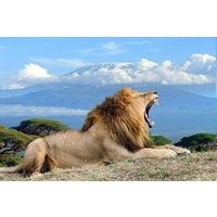 4 Day Amboseli National Park Camping Safari