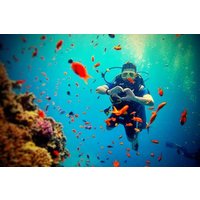 Scuba Diving Adventure in Rhodes with Free Transfers