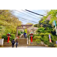 :Enoshima Retreat Private Walking Tour in Benzaiten and Iwaya