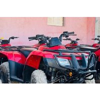 5 in 1 Adventure Experience in Sharm