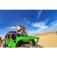 Between dunes islands and vineyards A day in Paracas Ica ALL INCLUSIVE