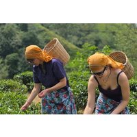 Sri Lanka Private Car Tour 3 Days