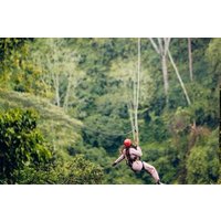 One-Day Nyungwe Forest Adventure – Canopy Walk and Zipline