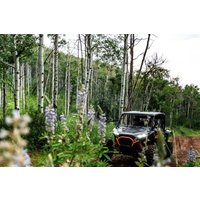 ATV and Polaris Rentals in Meeker Adventure Awaits