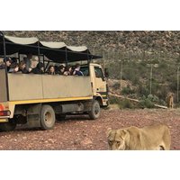 Big Five Safari With Transport