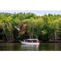 Langkawi: Kilim Mangrove Boat Tour 3H Shared