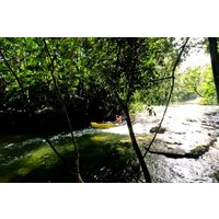 Learn Kayaking and Paddle a Jungle River