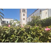 Tour Discover Fuerteventura