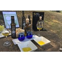 Mediterranean Flavors Sitges and Olive Oil Experience